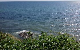Motel Seal Rock